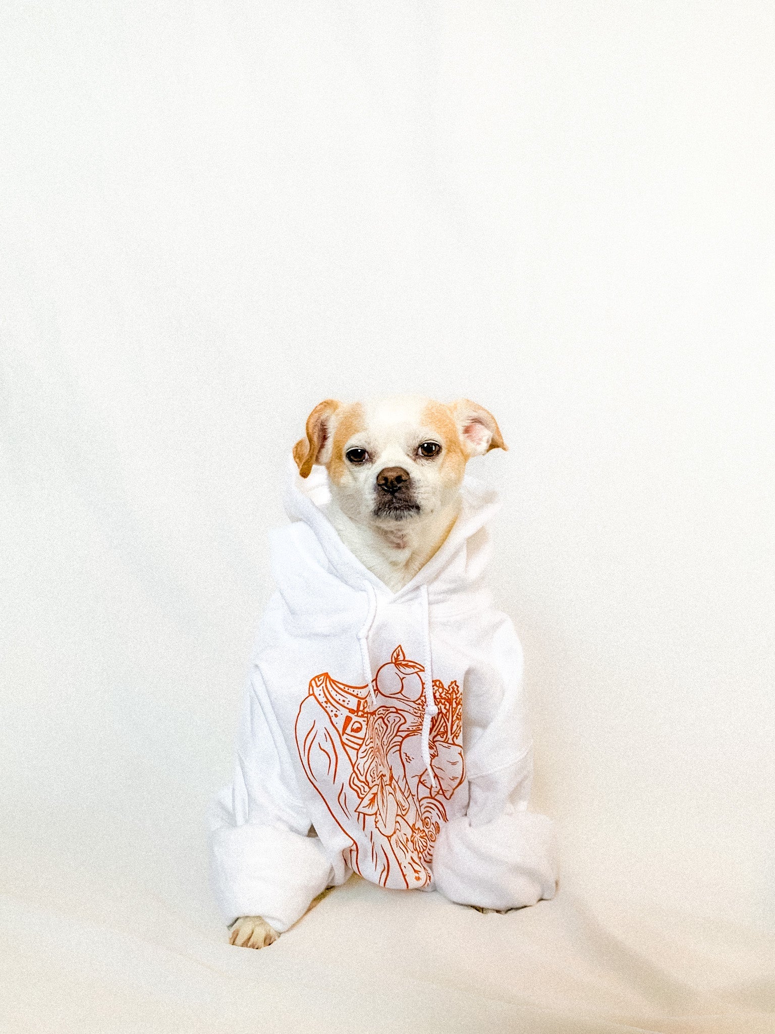 Bountiful Booties Hoodie - Cheeky Art Studio - apparel - artist - banana - Shirts & Tops - Portland, Oregon - Asian American Artist