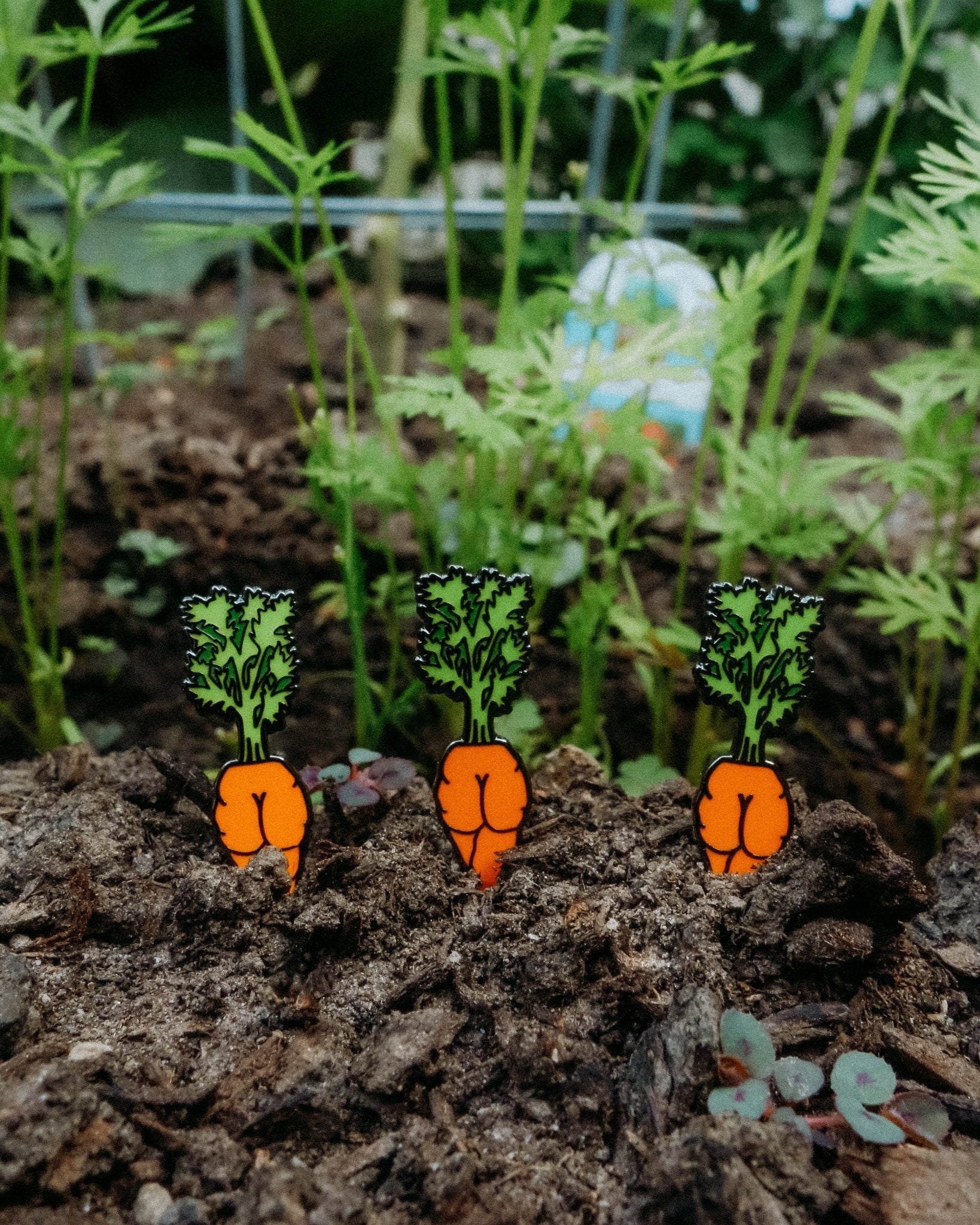 Carrot Booty Enamel Pin - Cheeky Art Studio